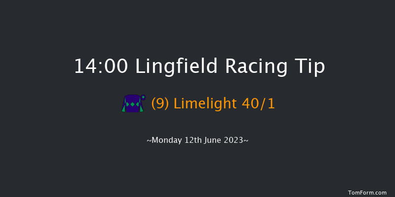 Lingfield 14:00 Handicap (Class 6) 12f Sat 10th Jun 2023