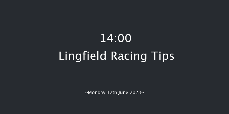 Lingfield 14:00 Handicap (Class 6) 12f Sat 10th Jun 2023