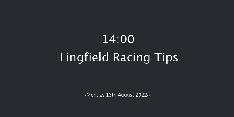 Lingfield 14:00 Stakes (Class 6) 7f Tue 9th Aug 2022