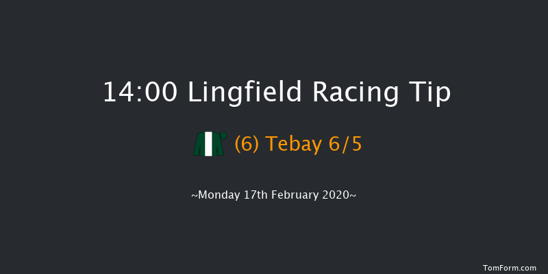 BetYourWay At Betway Handicap (Div 1) Lingfield 14:00 Handicap (Class 6) 10f Sat 15th Feb 2020