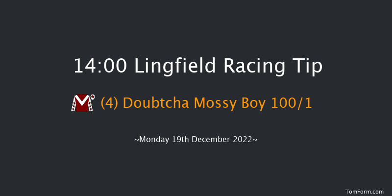 Lingfield 14:00 Maiden Hurdle (Class 4) 20f Sat 17th Dec 2022