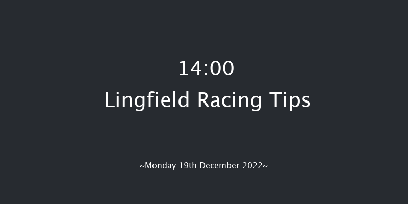 Lingfield 14:00 Maiden Hurdle (Class 4) 20f Sat 17th Dec 2022