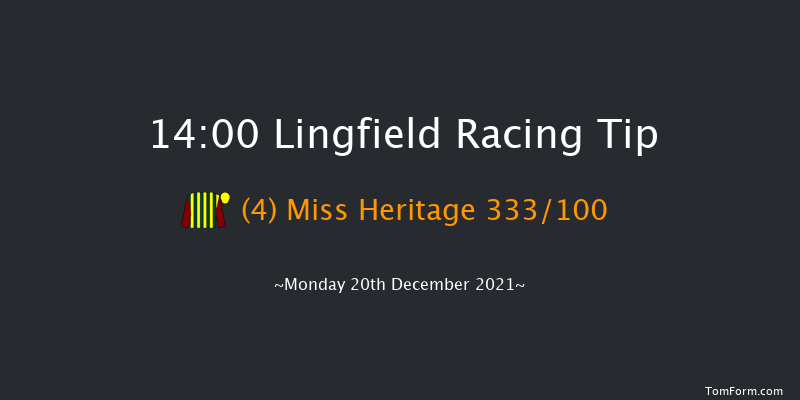 Lingfield 14:00 Handicap Hurdle (Class 2) 16f Sat 18th Dec 2021