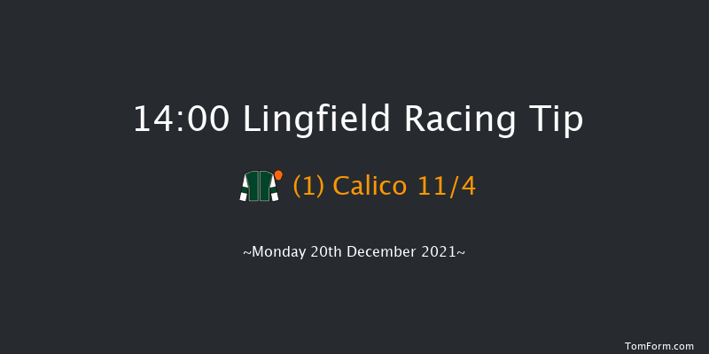 Lingfield 14:00 Handicap Hurdle (Class 2) 16f Sat 18th Dec 2021