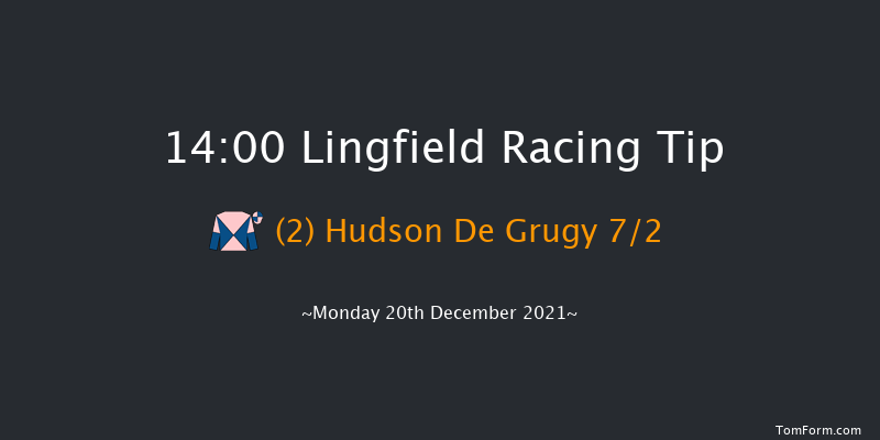Lingfield 14:00 Handicap Hurdle (Class 2) 16f Sat 18th Dec 2021