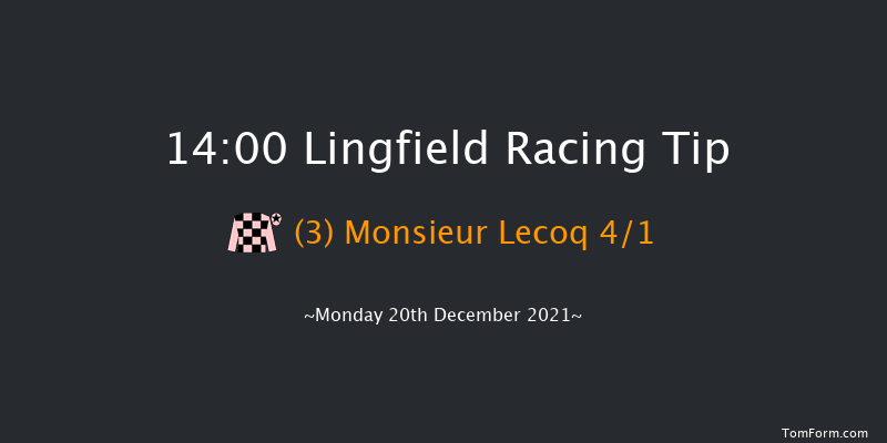 Lingfield 14:00 Handicap Hurdle (Class 2) 16f Sat 18th Dec 2021