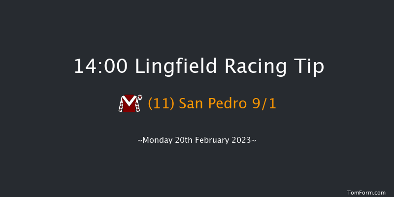 Lingfield 14:00 Handicap Hurdle (Class 5) 23f Sat 18th Feb 2023