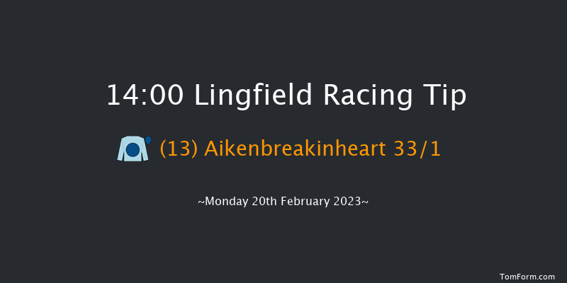Lingfield 14:00 Handicap Hurdle (Class 5) 23f Sat 18th Feb 2023