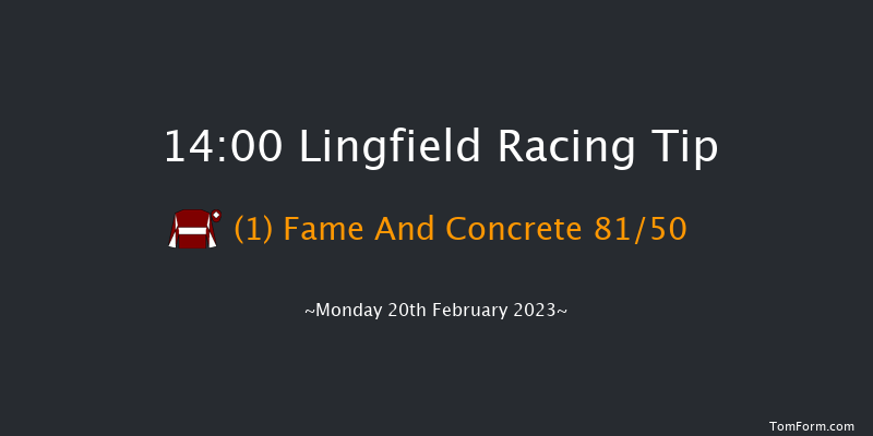 Lingfield 14:00 Handicap Hurdle (Class 5) 23f Sat 18th Feb 2023