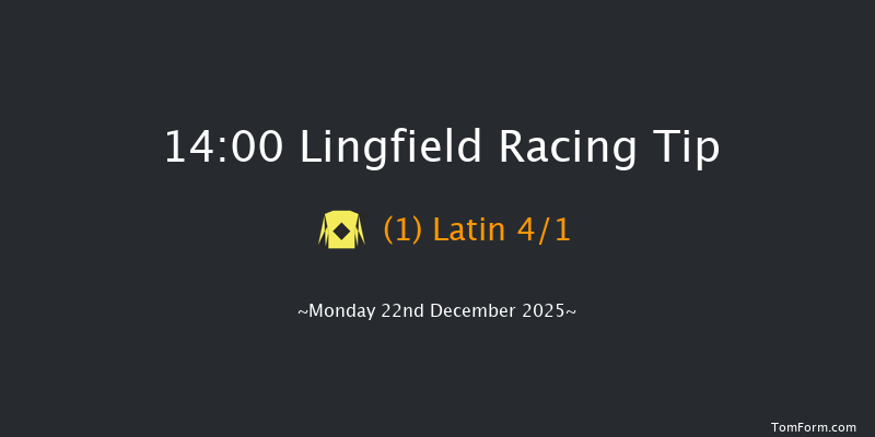 Lingfield 14-00 (Class 6) 7f Sun 21st Dec 2025