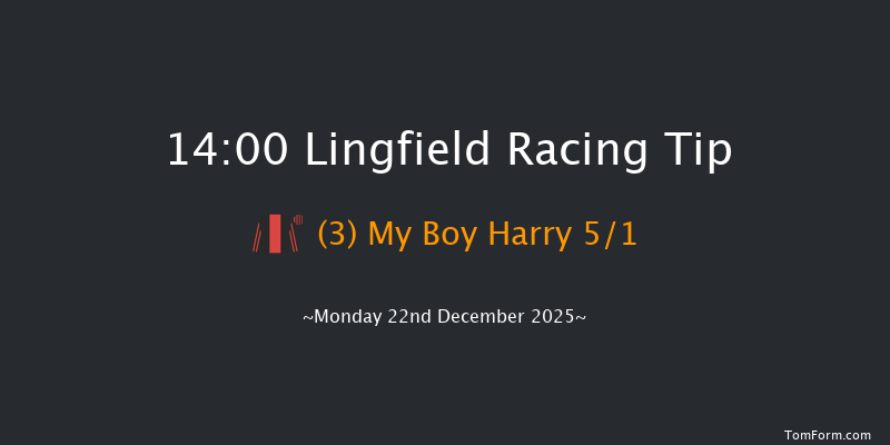 Lingfield 14-00 (Class 6) 7f Sun 21st Dec 2025