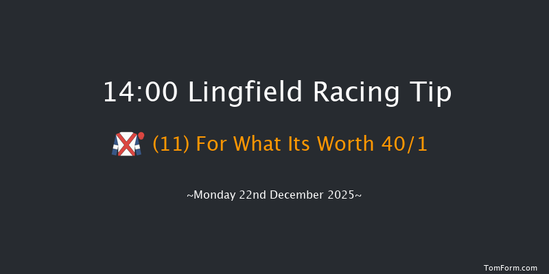 Lingfield 14-00 (Class 6) 7f Sun 21st Dec 2025