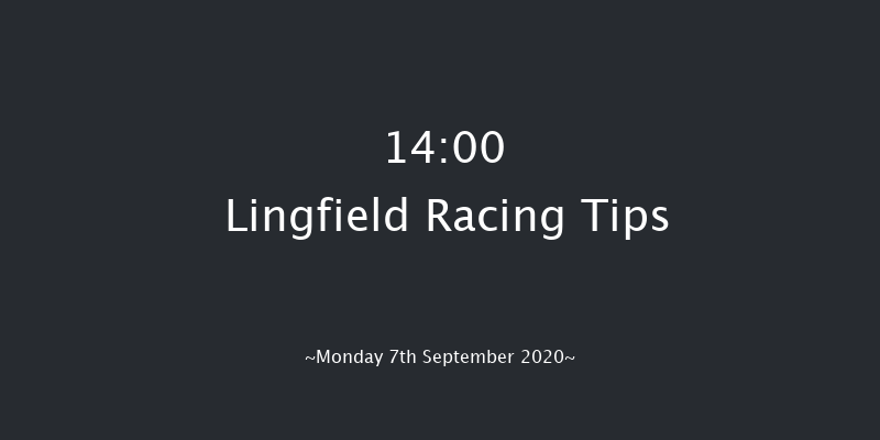 Betway Novice Median Auction Stakes Lingfield 14:00 Stakes (Class 6) 5f Wed 2nd Sep 2020
