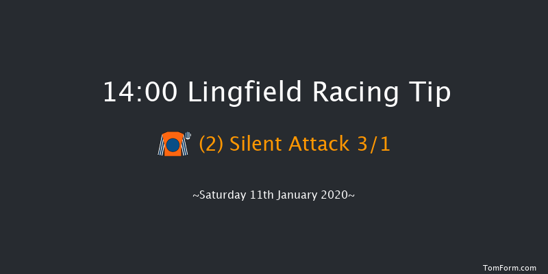 Lingfield 14:00 Handicap (Class 2) 8f Fri 10th Jan 2020