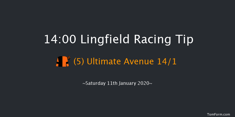 Lingfield 14:00 Handicap (Class 2) 8f Fri 10th Jan 2020