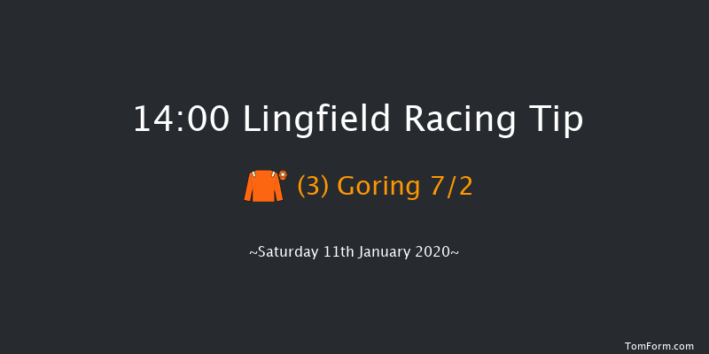 Lingfield 14:00 Handicap (Class 2) 8f Fri 10th Jan 2020