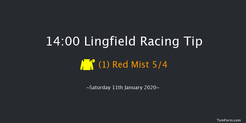 Lingfield 14:00 Handicap (Class 2) 8f Fri 10th Jan 2020