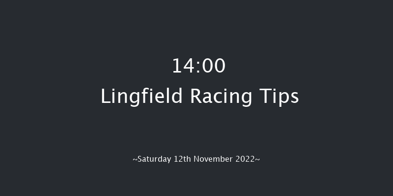 Lingfield 14:00 Handicap (Class 2) 8f Tue 8th Nov 2022