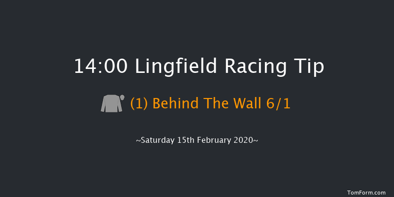 Ladbrokes Home Of The Odds Boost Novice Stakes Lingfield 14:00 Stakes (Class 5) 8f Fri 14th Feb 2020
