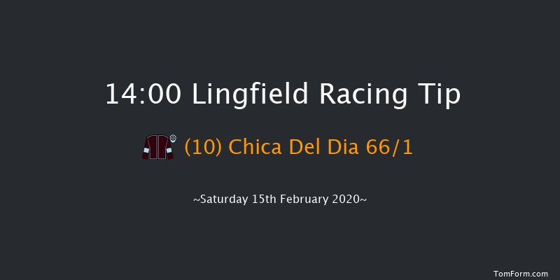 Ladbrokes Home Of The Odds Boost Novice Stakes Lingfield 14:00 Stakes (Class 5) 8f Fri 14th Feb 2020