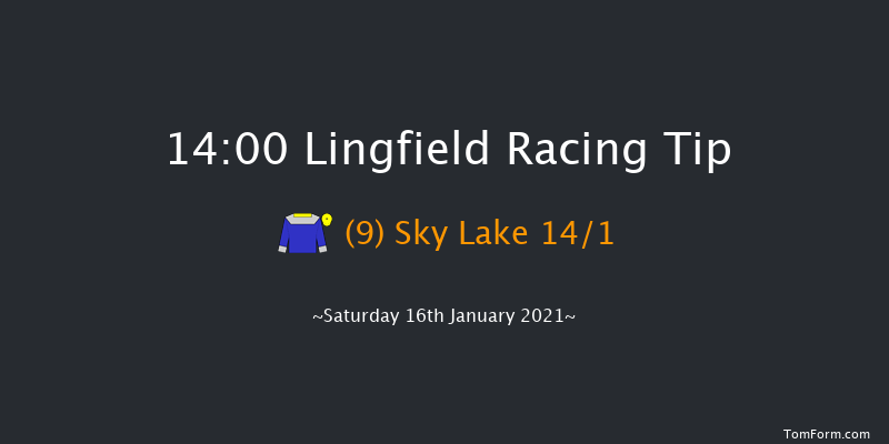 Bombardier 'March To Your Own Drum' Handicap Lingfield 14:00 Handicap (Class 6) 8f Tue 12th Jan 2021
