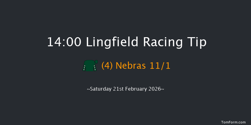Lingfield 14-00 (Class 1) 10f Mon 16th Feb 2026