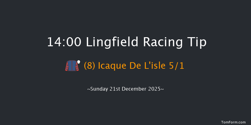 Lingfield 14-00 (Class 4) 23f Wed 17th Dec 2025