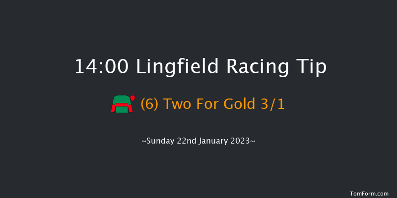 Lingfield 14:00 Conditions Chase (Class 2) 22f Sat 21st Jan 2023