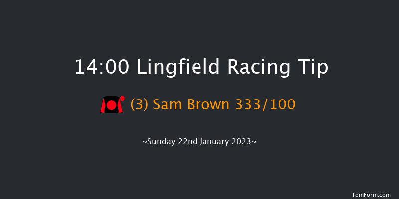 Lingfield 14:00 Conditions Chase (Class 2) 22f Sat 21st Jan 2023