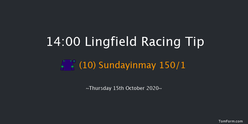 Betway Irish Stallion Farms EBF Novice Median Auction Stakes (Plus 10) Lingfield 14:00 Stakes (Class 4) 8f Tue 6th Oct 2020
