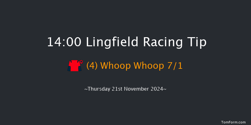 Lingfield  14:00 Handicap (Class 5) 7f Tue 19th Nov 2024