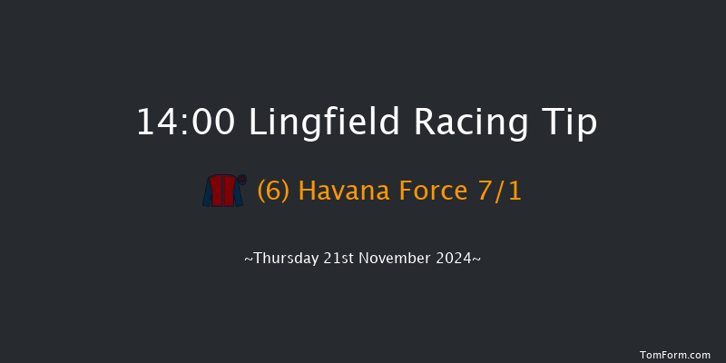 Lingfield  14:00 Handicap (Class 5) 7f Tue 19th Nov 2024
