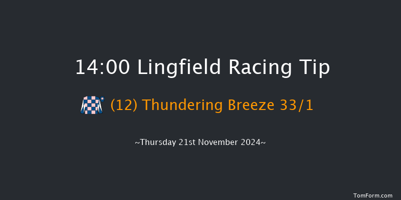 Lingfield  14:00 Handicap (Class 5) 7f Tue 19th Nov 2024