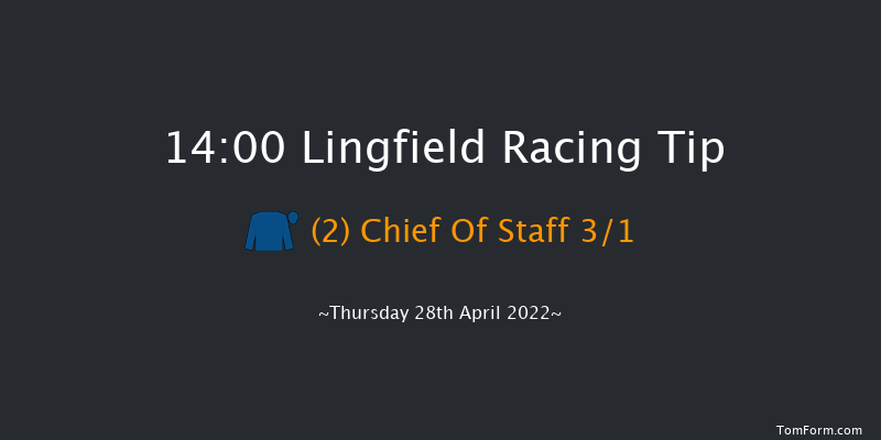 Lingfield 14:00 Handicap (Class 5) 8f Mon 25th Apr 2022