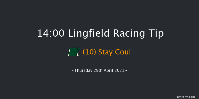 Get Hugh Taylor's Tips On attheraces.com Handicap Lingfield 14:00 Handicap (Class 5) 8f Tue 27th Apr 2021