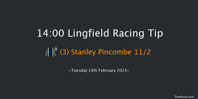 Lingfield 14:00 Handicap Hurdle (Class 5) 16f Sat 11th Feb 2023