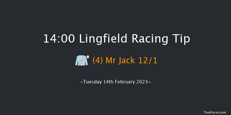 Lingfield 14:00 Handicap Hurdle (Class 5) 16f Sat 11th Feb 2023