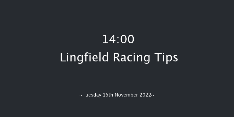 Lingfield 14:00 Handicap Hurdle (Class 3) 20f Sat 12th Nov 2022