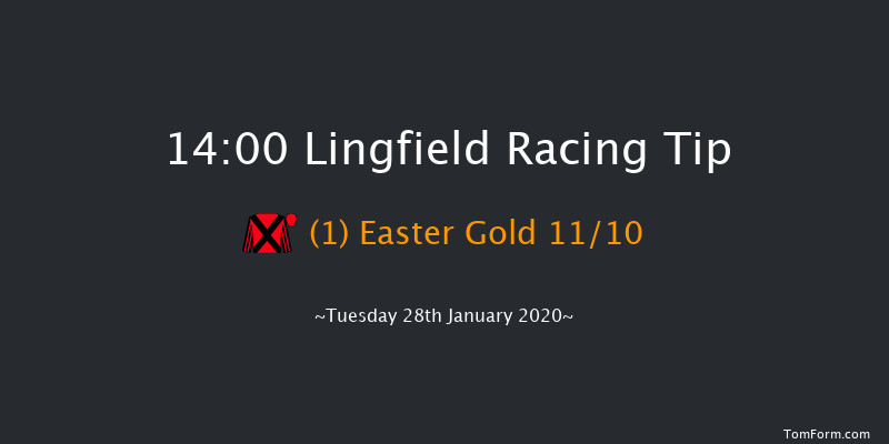 Lingfield 14:00 Maiden Hurdle (Class 4) 16f Sat 25th Jan 2020