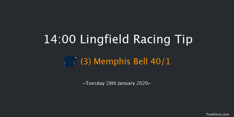 Lingfield 14:00 Maiden Hurdle (Class 4) 16f Sat 25th Jan 2020