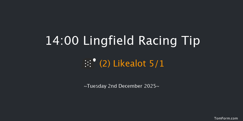 Lingfield 14-00 (Class 4) 12f Thu 27th Nov 2025