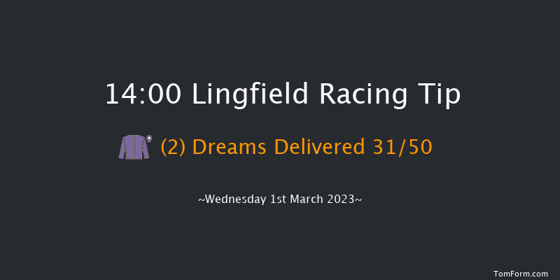 Lingfield 14:00 Handicap (Class 6) 7f Sat 25th Feb 2023