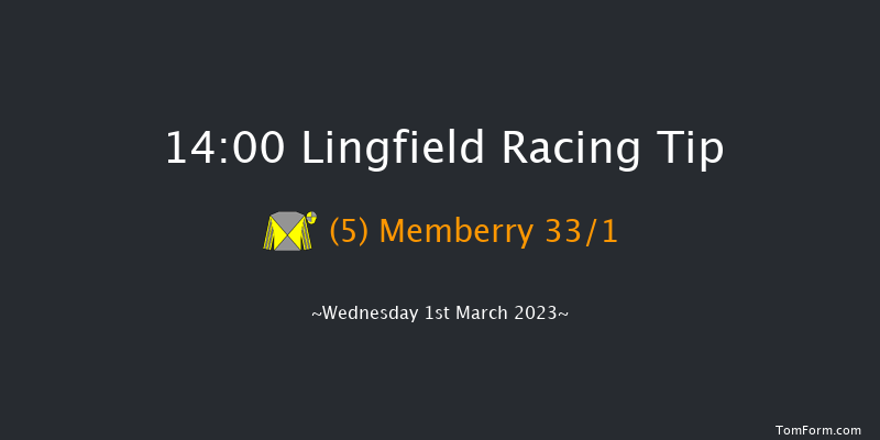 Lingfield 14:00 Handicap (Class 6) 7f Sat 25th Feb 2023