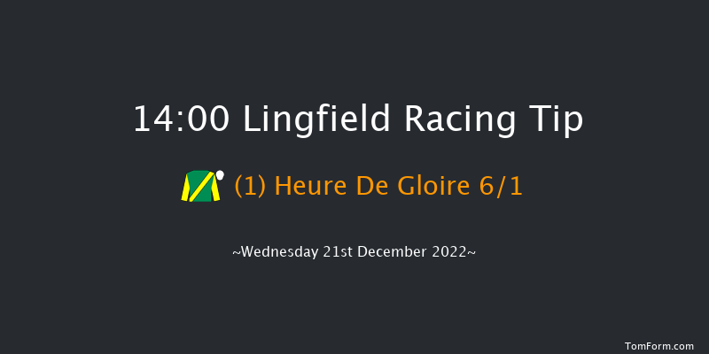 Lingfield 14:00 Handicap Hurdle (Class 5) 16f Mon 19th Dec 2022