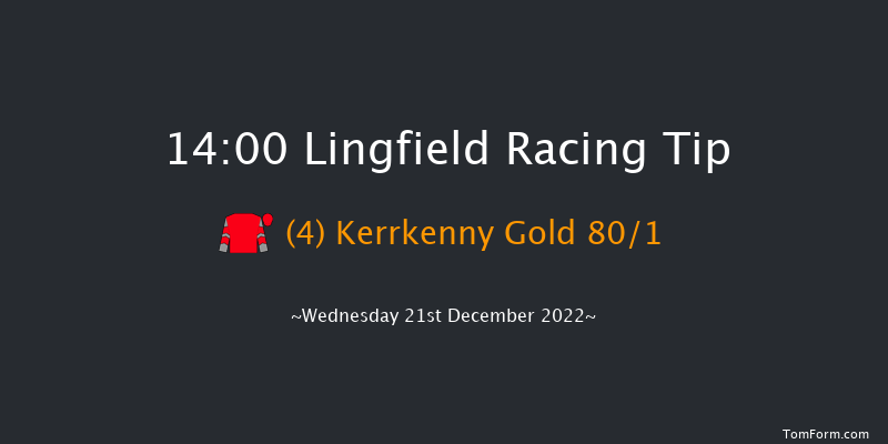 Lingfield 14:00 Handicap Hurdle (Class 5) 16f Mon 19th Dec 2022
