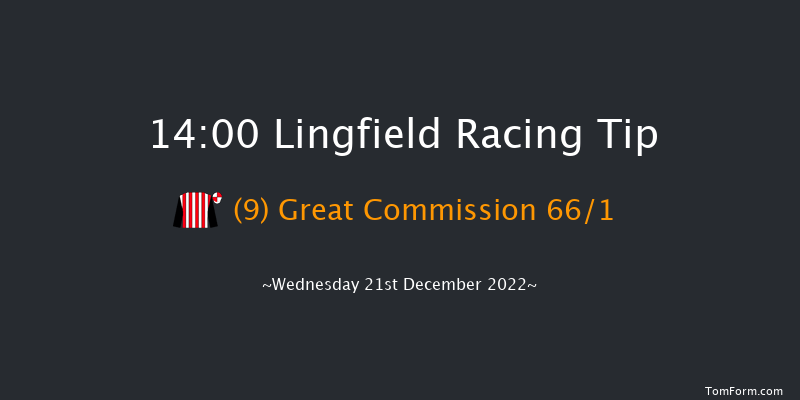 Lingfield 14:00 Handicap Hurdle (Class 5) 16f Mon 19th Dec 2022