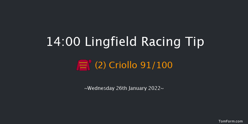 Lingfield 14:00 Stakes (Class 5) 7f Tue 25th Jan 2022
