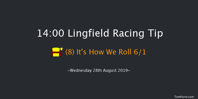 Lingfield 14:00 Handicap (Class 6) 12f Mon 19th Aug 2019