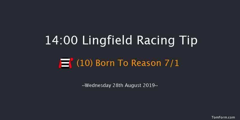 Lingfield 14:00 Handicap (Class 6) 12f Mon 19th Aug 2019