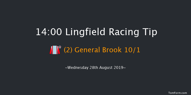 Lingfield 14:00 Handicap (Class 6) 12f Mon 19th Aug 2019